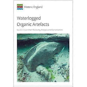 Waterlogged Organic Artefacts: Richtlinien für ihre Verwertung, Analyse und Konservierung