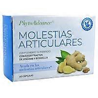 joint discomfort 60 capsules