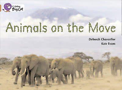 Animals On The Move by Deborah Chancellor Paperback Book