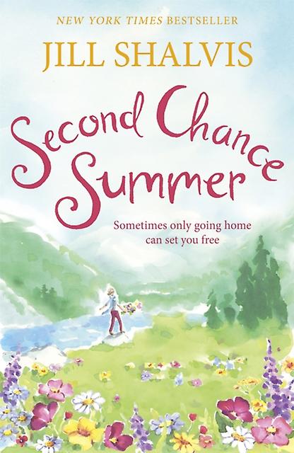 Second Chance Summer by Jill Author Shalvis Paperback Book
