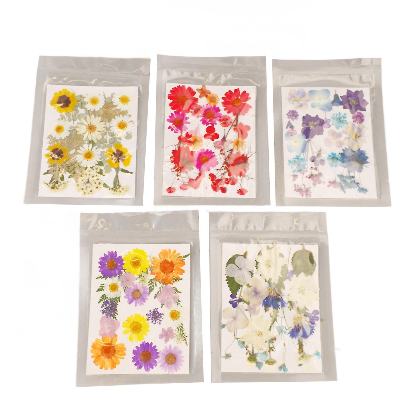 5 Pcs Dried Flower Bags, Assorted Styles, Rich and Vibrant Details, Multi-Purpose, for Bookmarks, DIY Molds, Type 1