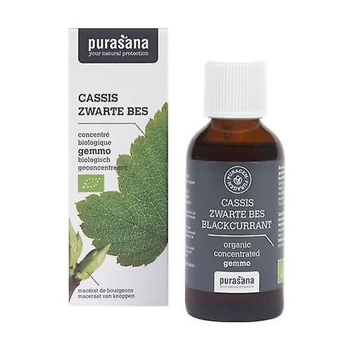 Cassis circulation 50 ml