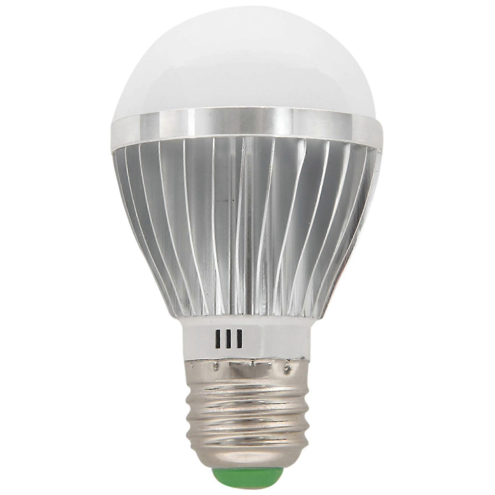 Exquisite Exquisite E27 5w 12v High-power White Light Bulb