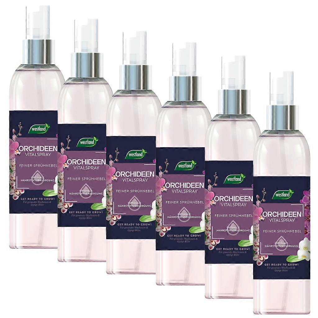6 x WESTLAND® Orchid Vital Spray, 250 ml