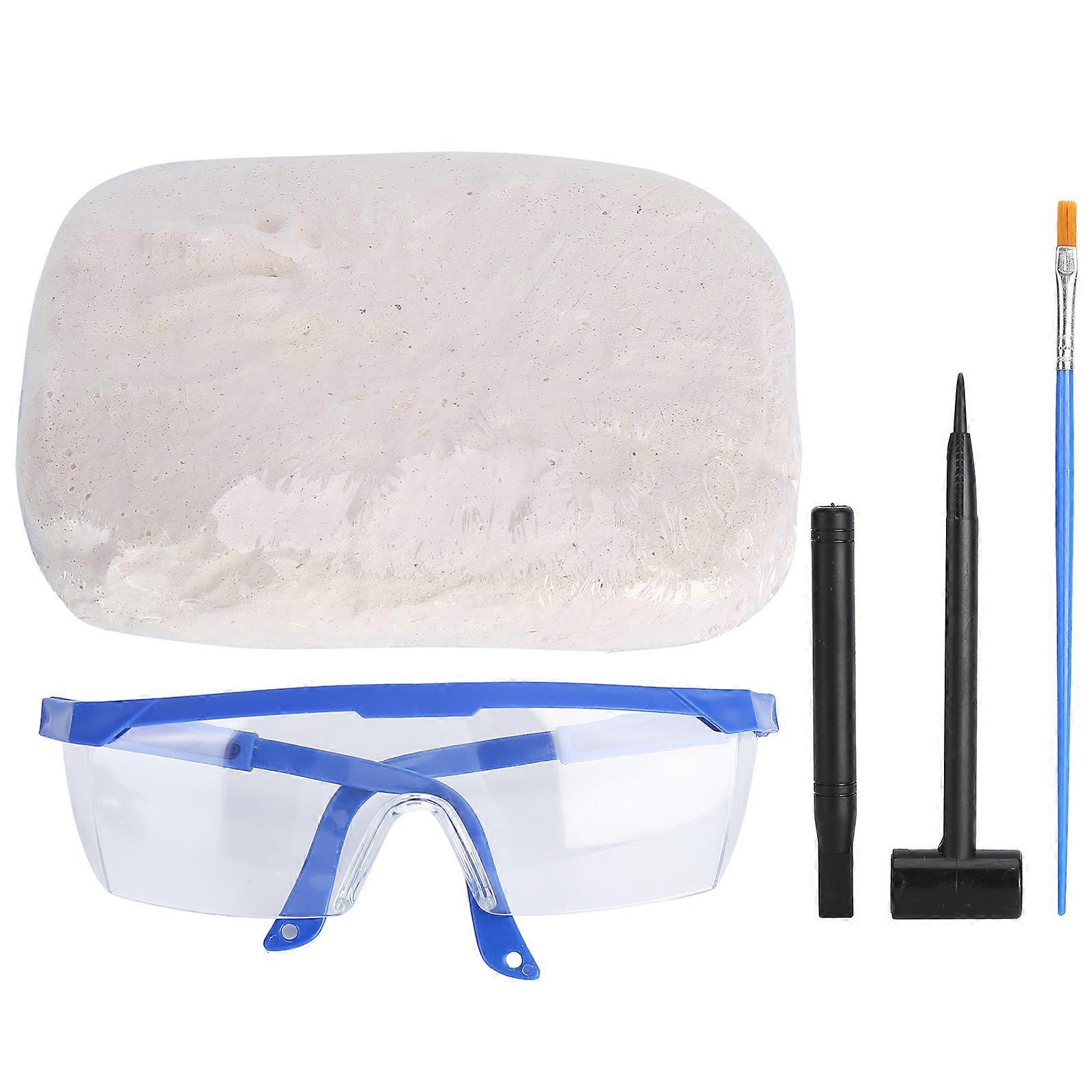 Dinosaur Digging Fossil Kit Lifelike Dinosaur Skeleton Model Toys Kid's Dinosaur DIY Model