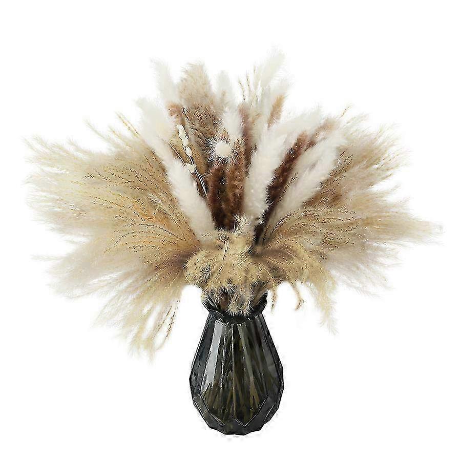 Multicolor Pampas Grass - 92 Stems for Home & Party Decor - Elegant Dried Floral Arrangements for Boho & Modern Interiors