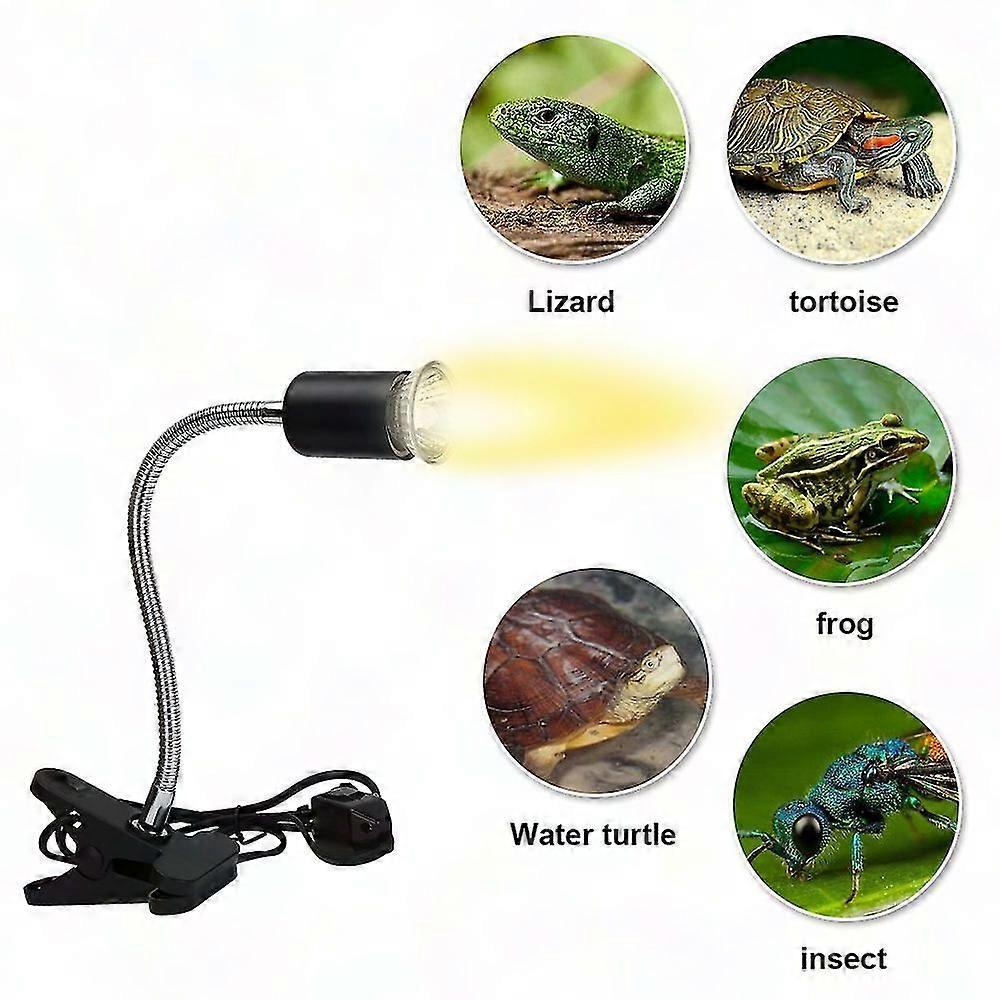 50W Reptile Heat Lamp with Long Base & 360 Rotation for Tortoise, Frogs & Amphibians