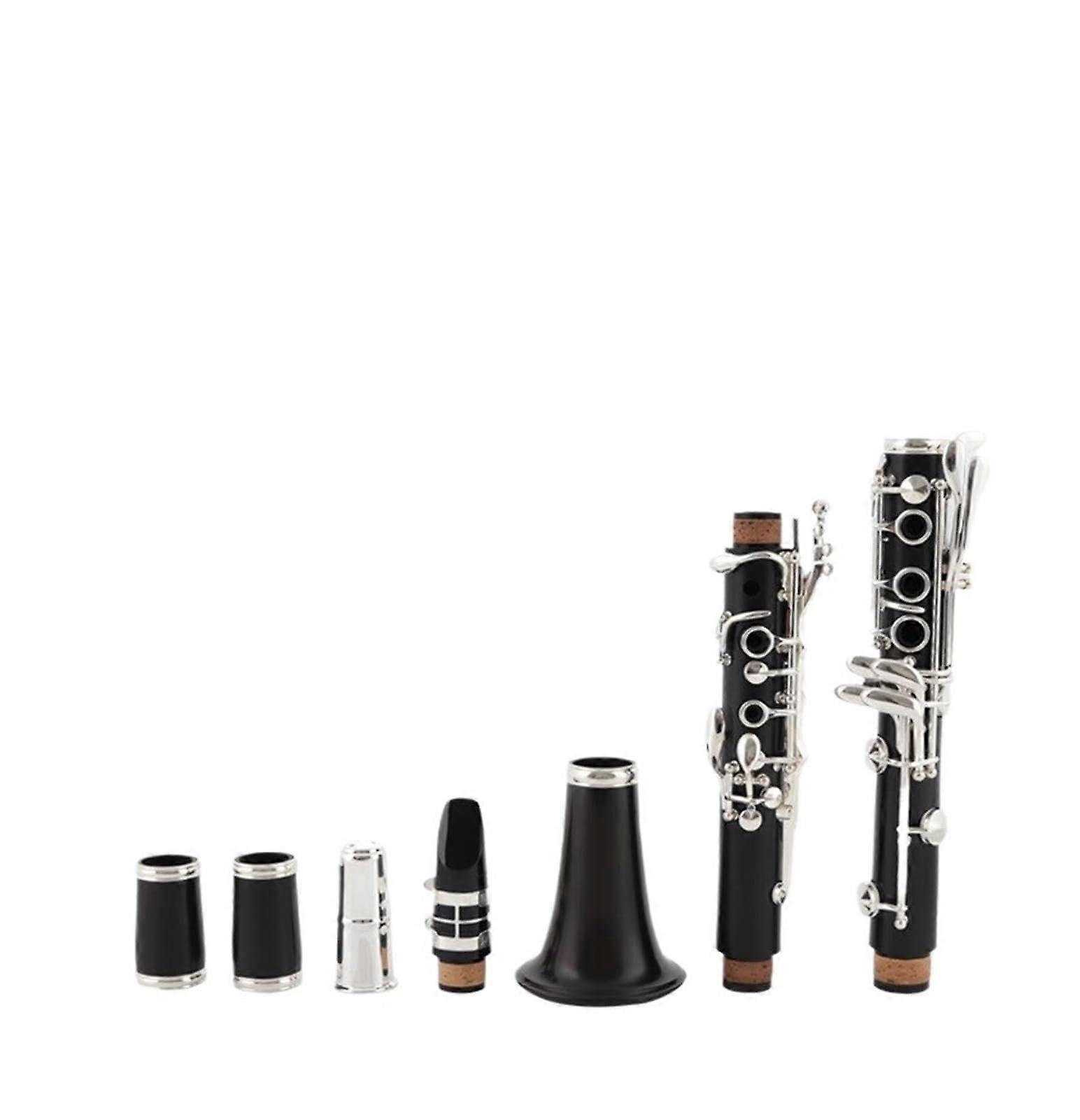 Beginner B Flat Clarinet with 17 Keys Easy Play Clear Tone for Students and Professional Use