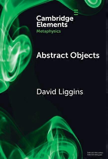 Abstract Objects - David Liggins - Hardcover - en Book