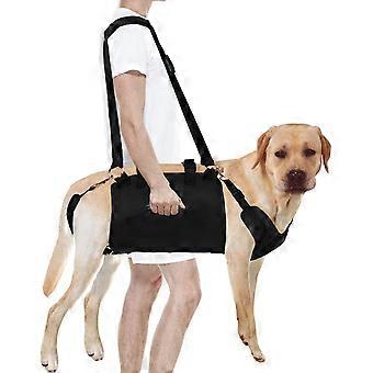 Harnais de levage intégral pour chien, sangle de levage d'urgence réglable avec poignée pour chiens de taille moyenne à grande, âgés, handicapés et souffrant d'arthrite.