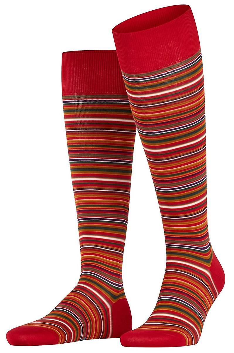 Falke Microblock Knee High Socks - Scarlet Red