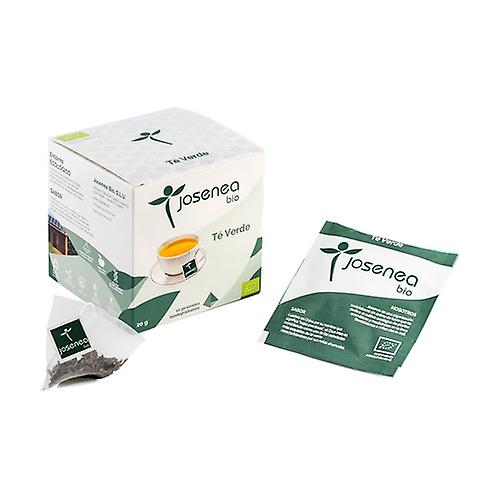 Organic green tea 10 pyramids in envelope