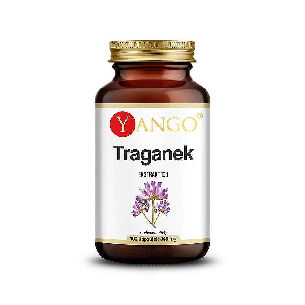 Yango Astragalus BI2852