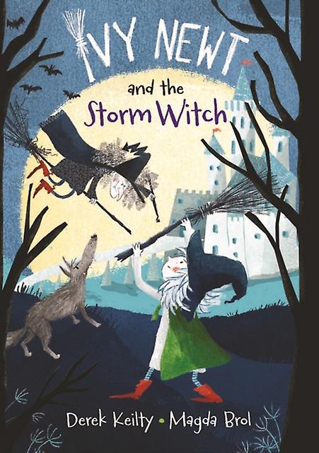 Ivy Newt And The Storm Witch by Derek Keilty Paperback Book