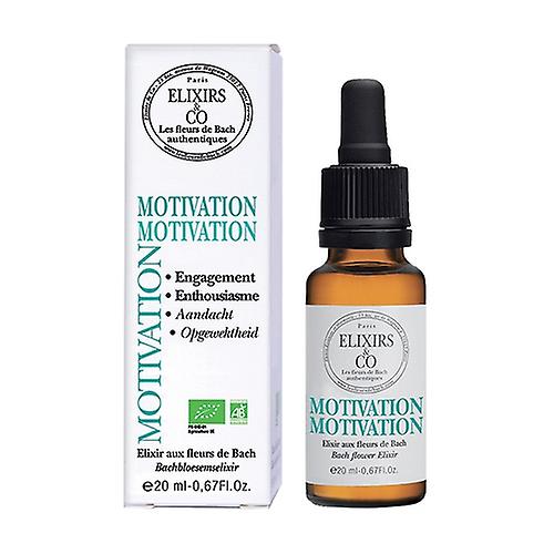 Motivation elixir compound 20 ml of floral elixir