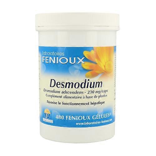 Desmodium 480 capsules