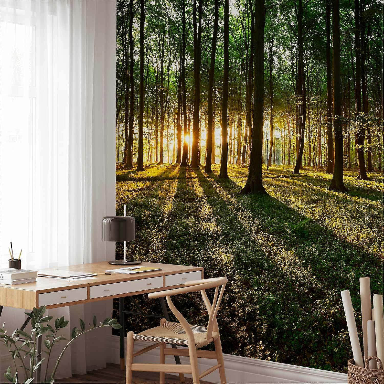 Wall Mural - Spring: Morning in the Forest