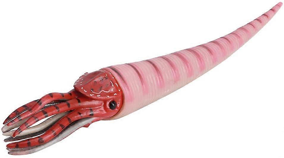 Simulation marine animal model realistic bone-setting doll collection scientific educational props