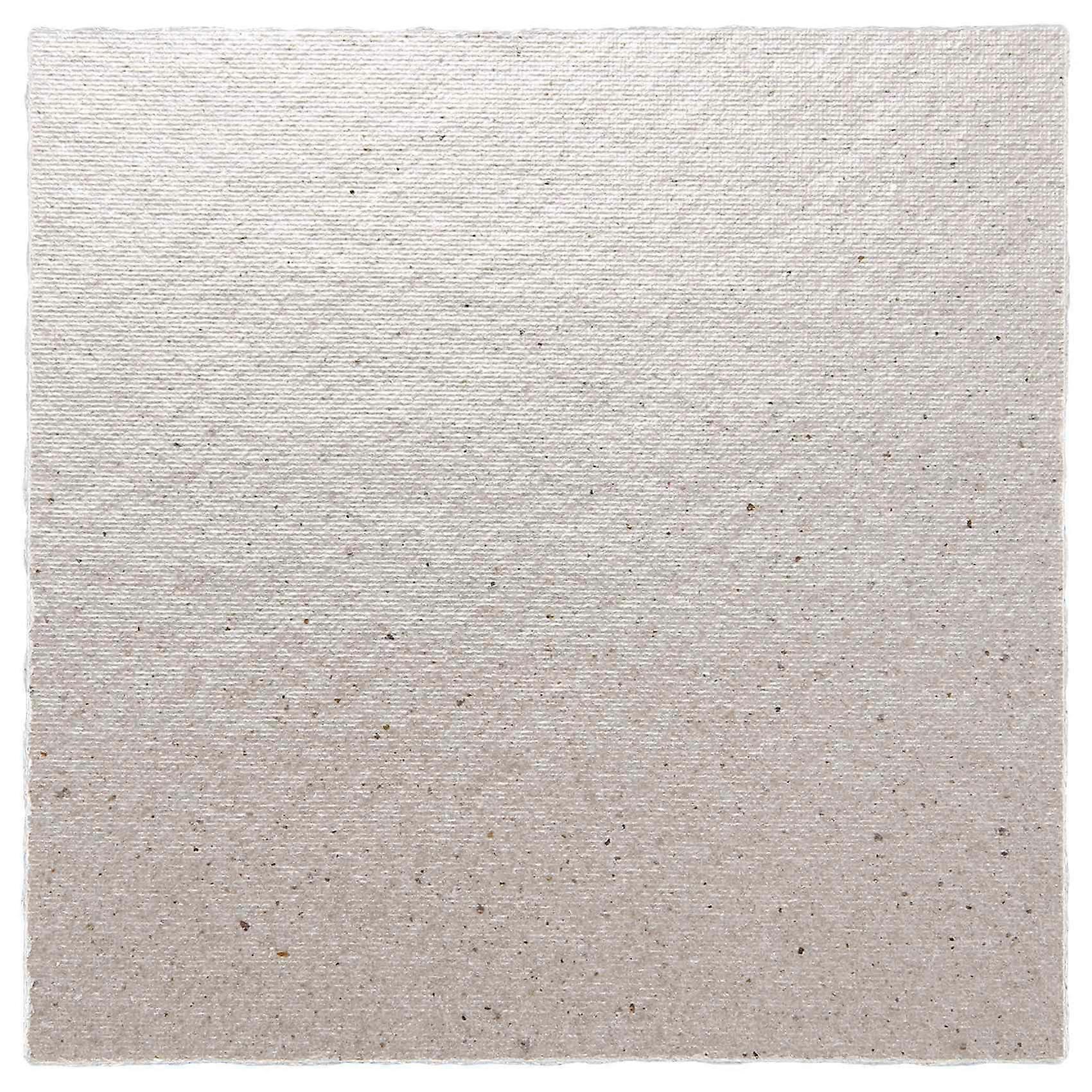 2 x Replacement 12 x 12 cm Plate Mica For