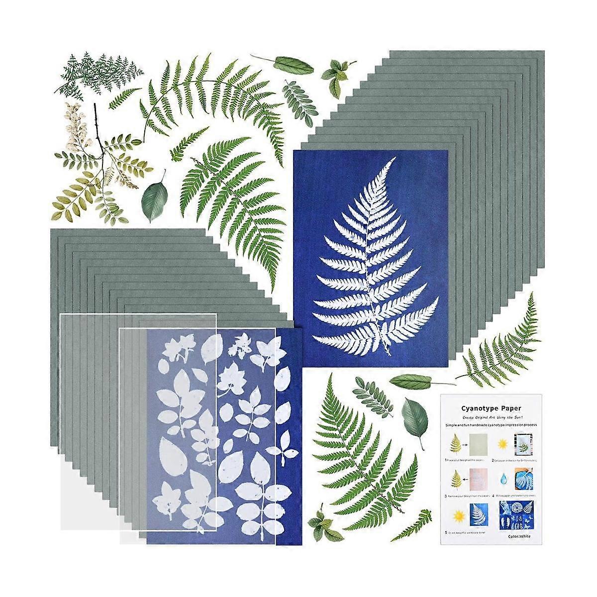 Sun Print Paper Kit, Cyanotype Paper, 32 Sheets Cyanotype Paper with 2 Sheet Acrylic Panel for Arts