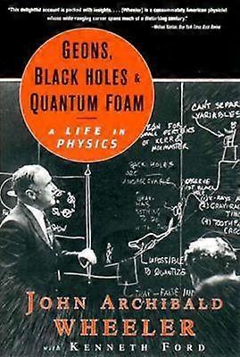Geons Black Holes and Quantum Foam