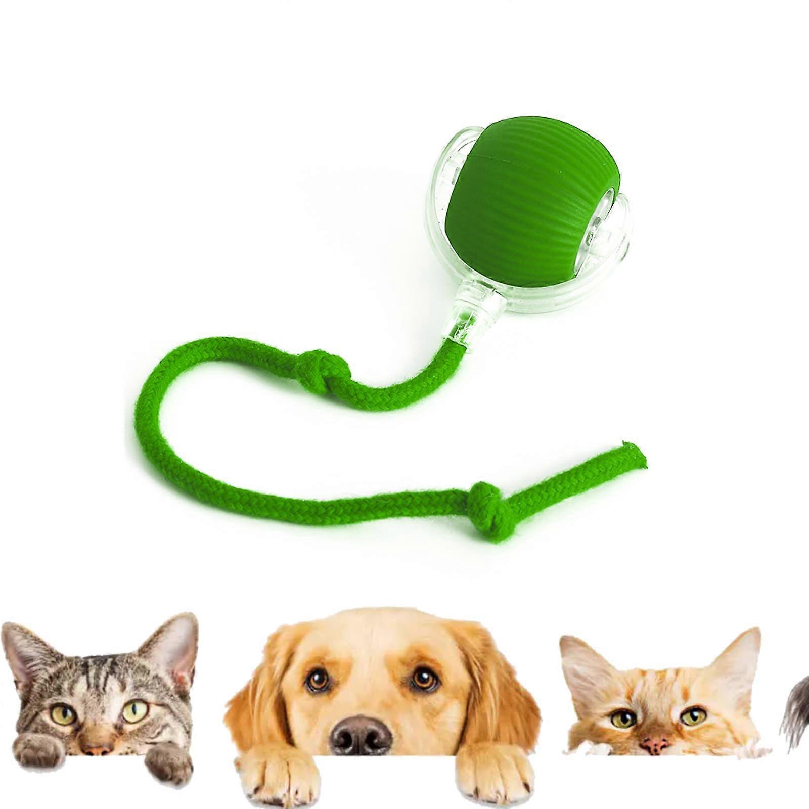 Smart interactive rolling ball dog toys
