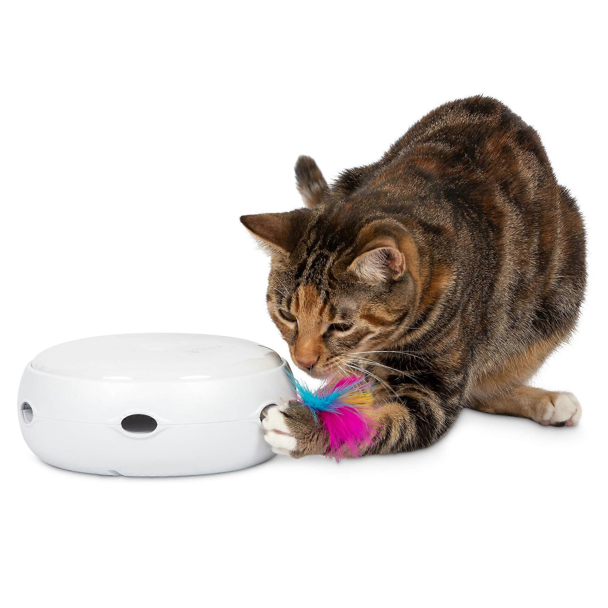 Interactive Cat Toys For Indoor And Outdoor Use Durable Plastic Multiple Sizes Multi Color USB Rechargeable