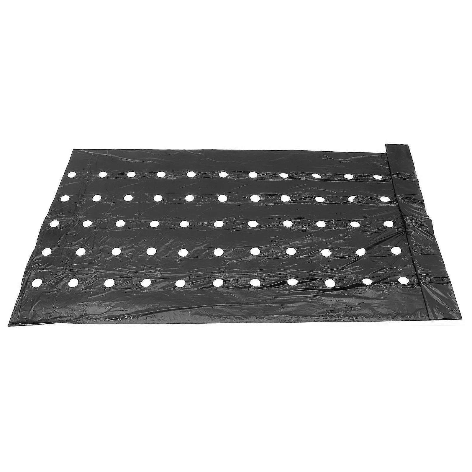 Durable 10m Agricultural Perforated PE Mulch Film for Soil Insulation, Nutrient Retention, and Crop Protection