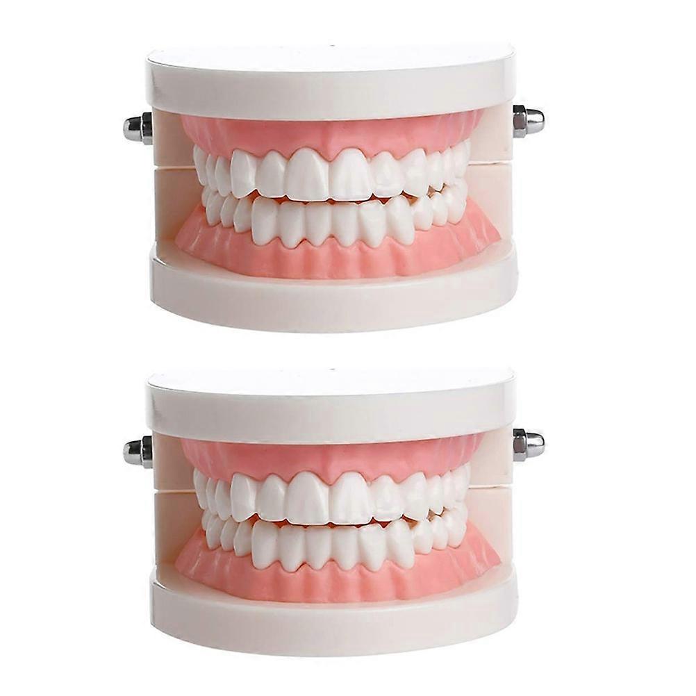 Teaching Aids with Assorted Color Plastic Teeth Models for Oral Education and Training 2pcs