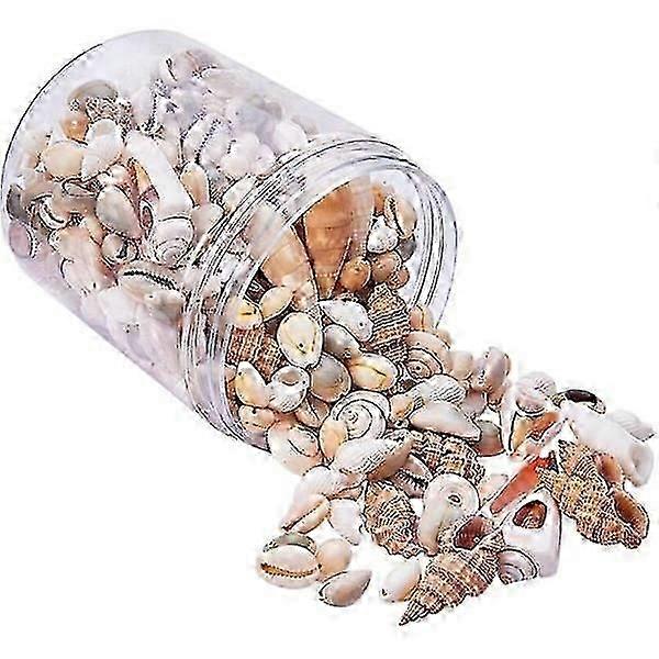 Seashell Mix Large Seashells Crafts Decor Seashell Decor Snails Maritime Decor