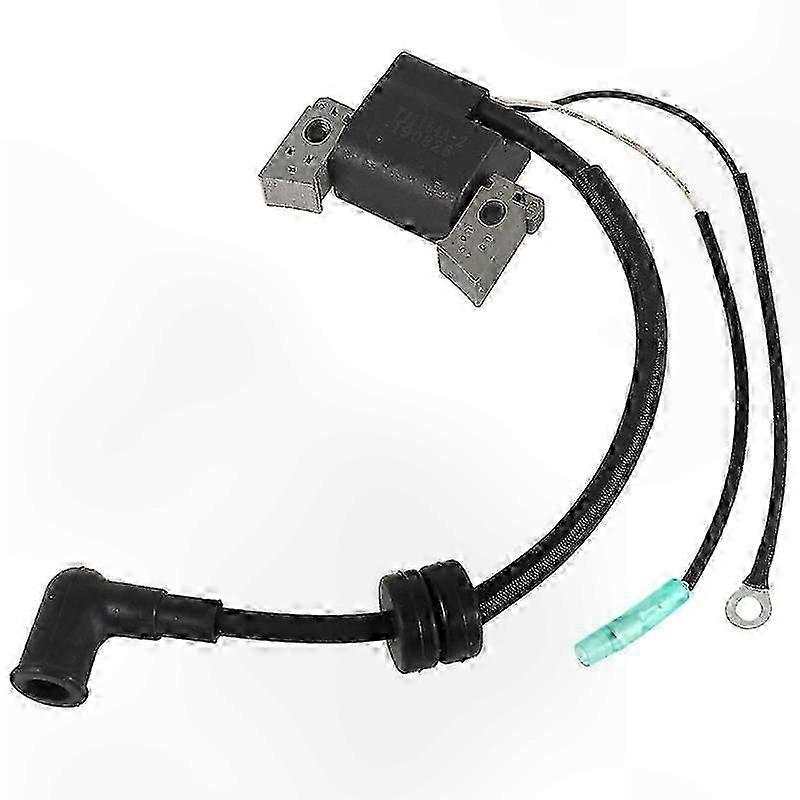 Ignition Coil Assembly for 4-Stroke 6 Boat Engines Compatible with F4L F4S F6 Models