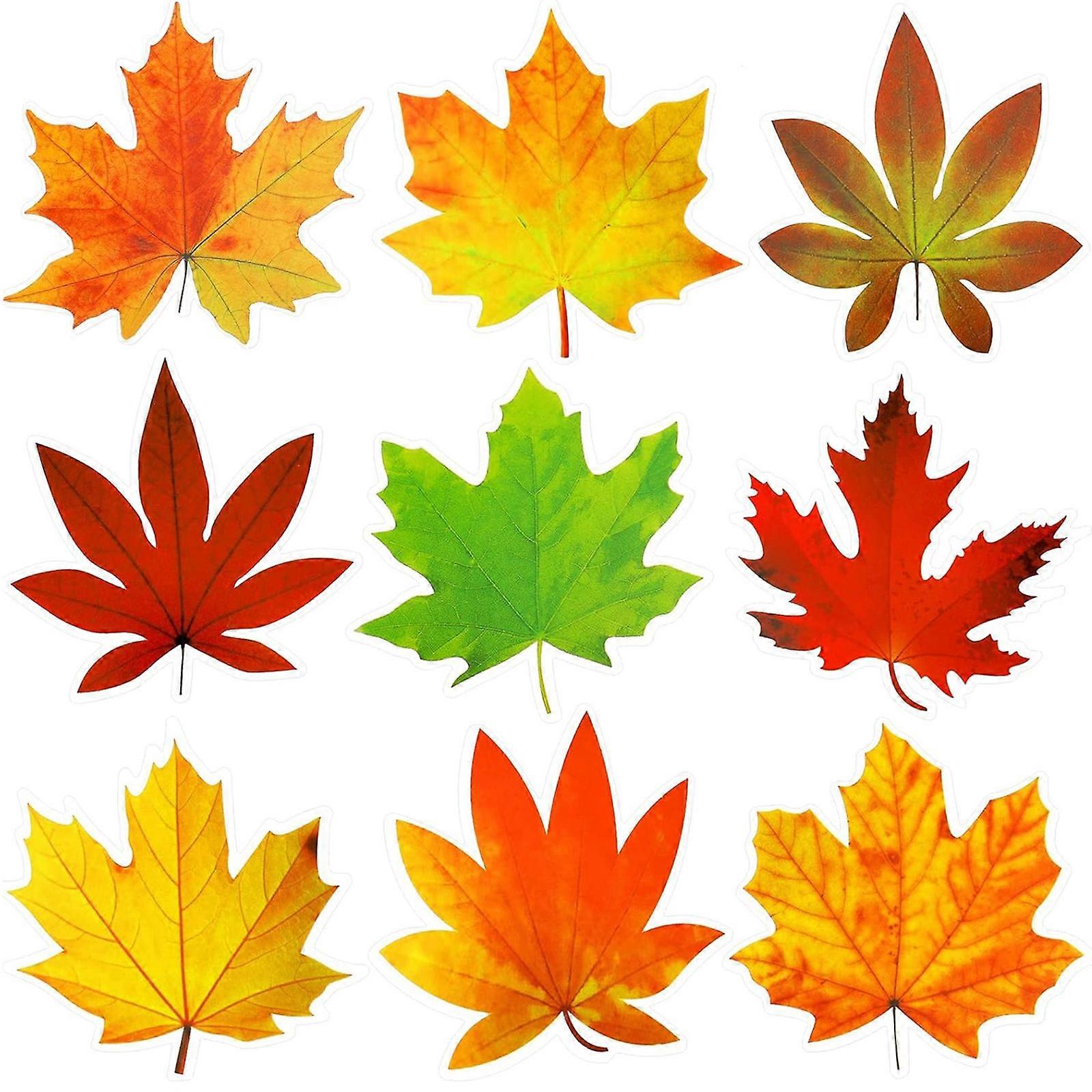 Seasonal Fall Decorative Cutouts With Intricate Leaf Patterns Office School Friendly Paper Wall Art Install Easily Multicolor