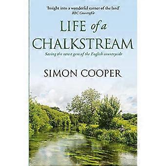 Leben eines Chalkstream