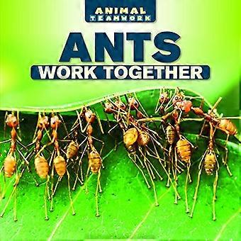 Ants Work Together