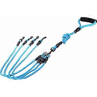 Nylon Dog Training Leash, Durable Pet Walking Coupler, Blue