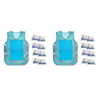 2 Pack Reusable Ice Cooling Vest, Polyester Summer Cool Vest with Ice Packs, Sunstroke Protection for Running Gym Outdoor