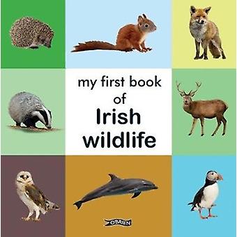 My First Book Of Irish Wildlife - O'Brien Press Ltd - Board book - English Book - Baby books