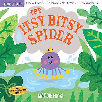 Indestructibles The Itsy Bitsy Spider - Maddie Frost
