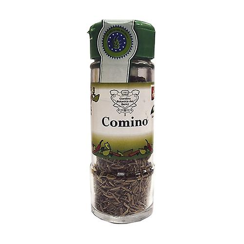 Organic Cumin Grains 40 g