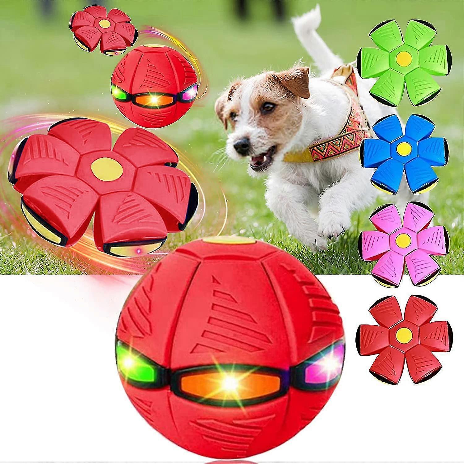 Bola de Disco Voador de Brinquedo para Cães - Design 2023