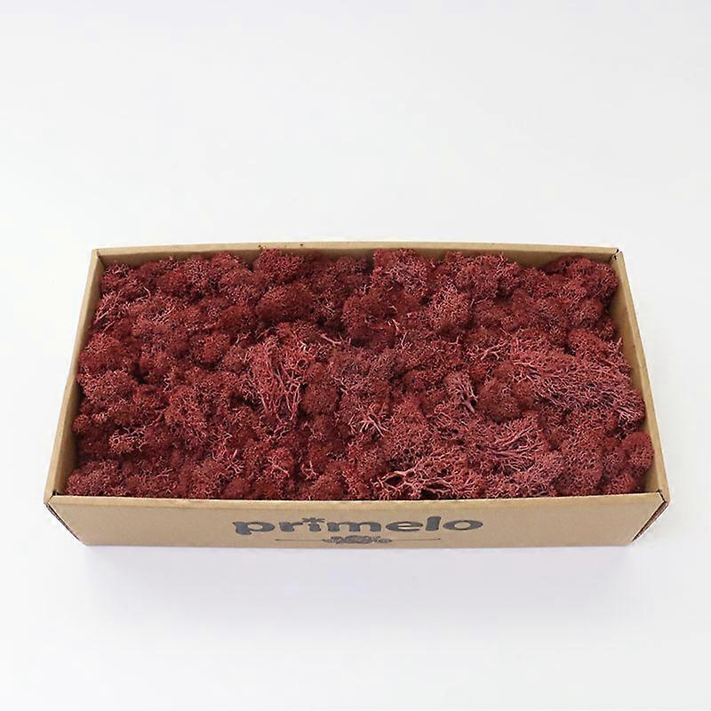 1000g Simulation Plants Eternal Life Moss /Garden Home Decor Wall DIY Flower Material Mini Garden Micro Landscape Fake Moss Gift