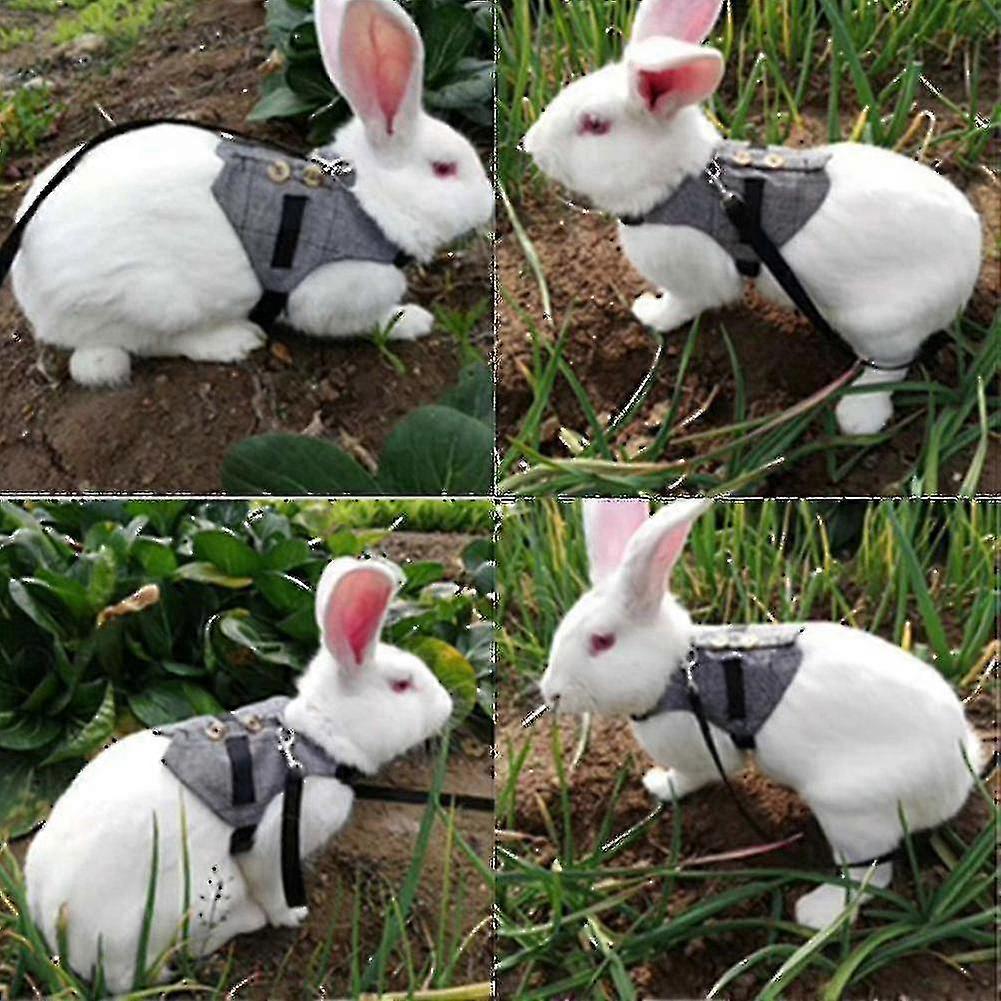 Small Pet Rabbit Plaid Suit Harness Clothes Vest Chest Strap Leash ...