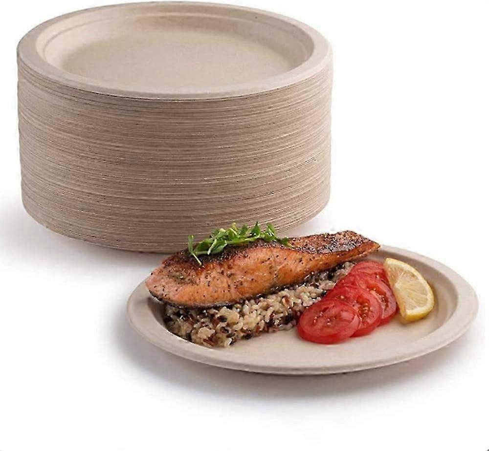 Compostable Carton Plates for Picnics - Eco-Friendly Disposable Dinnerware Set for Outdoor Gatherings