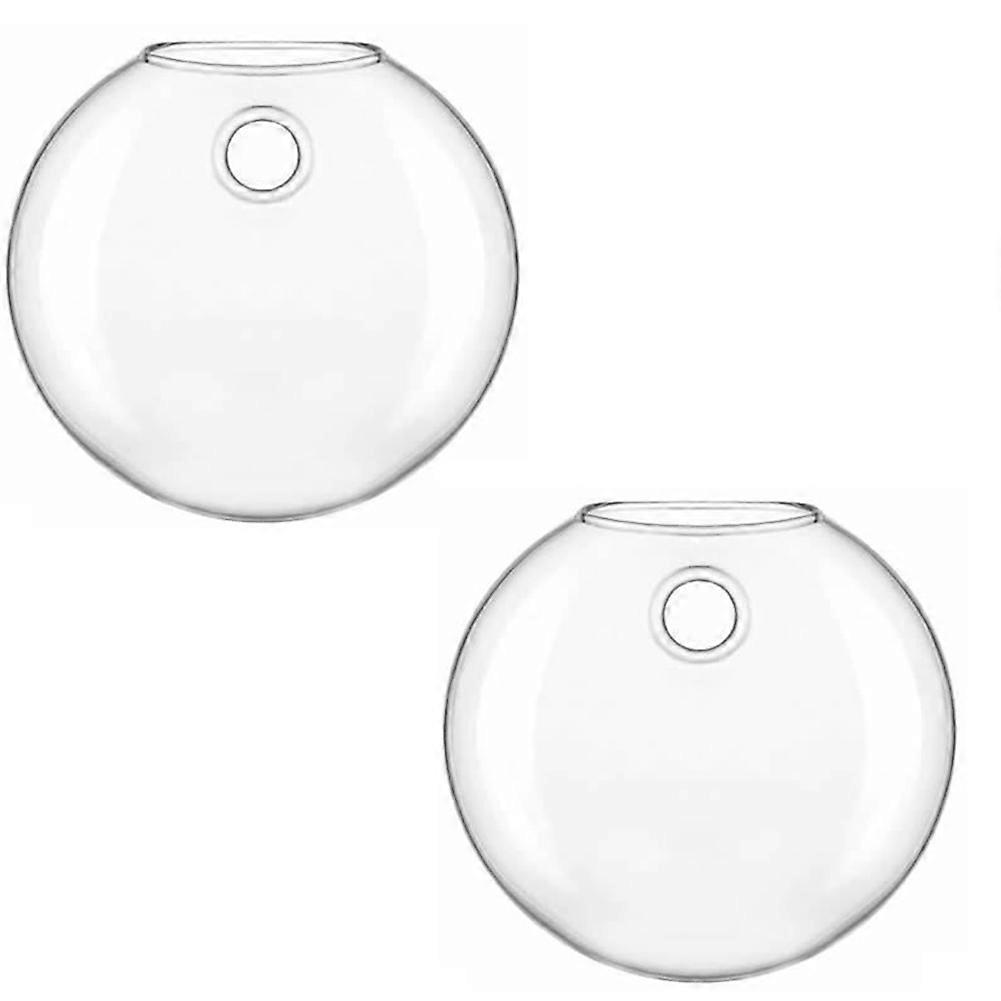 Vase
Hydroponic Glass Vase