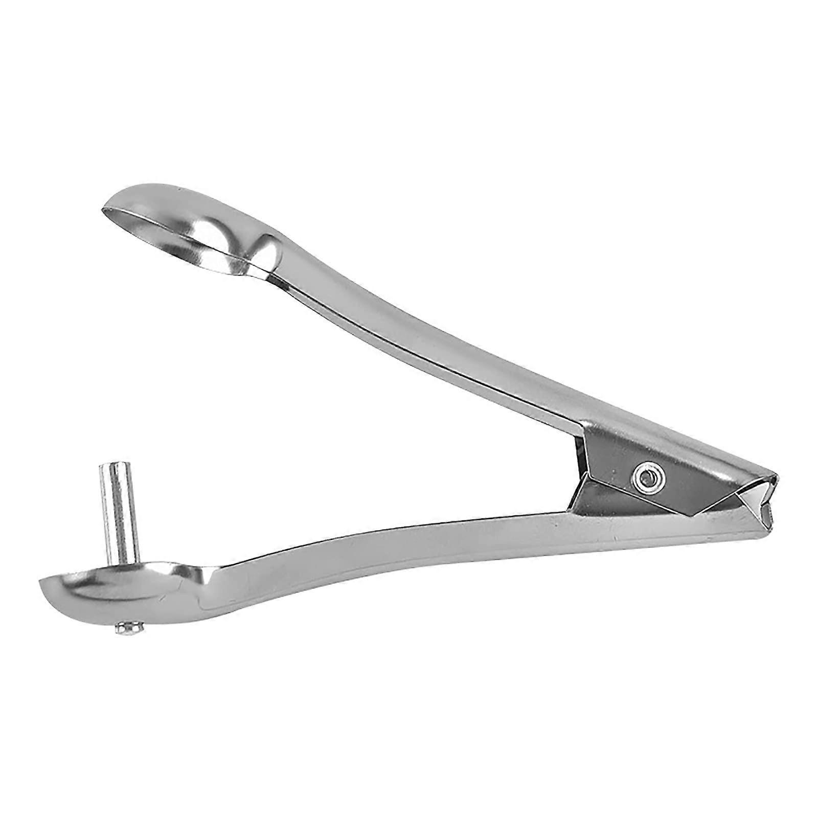 Stainless Steel Cherry and Olive Pitter Tool with Quick Pit Removal and Secure Fruit Holder