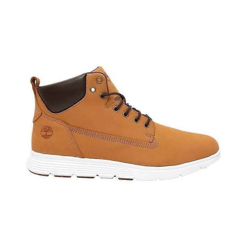Shoes Timberland TB0A6BE5754