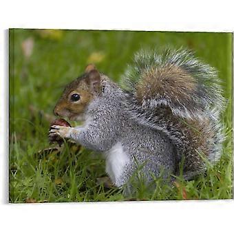 Modern Prints Squirrel Animal Grass Jigsaw Puzzle Farmhouse for Home Laundry Decoration VV739