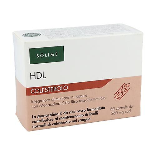 HDL cholesterol 60 capsules