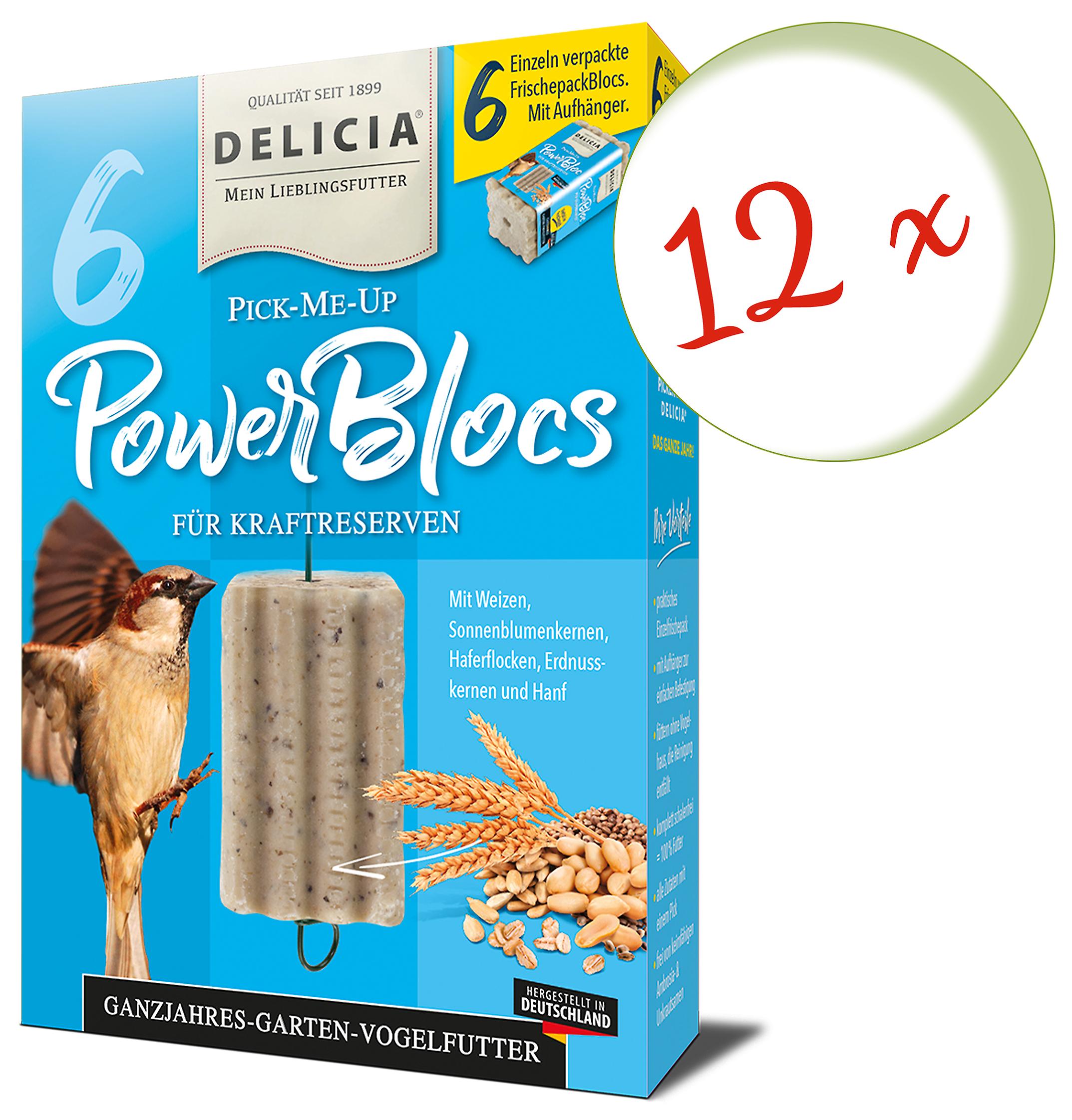 12 x DELICIA® Pick-Me-Up Powerblocs, 6 Stück