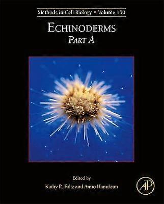 Equinodermos